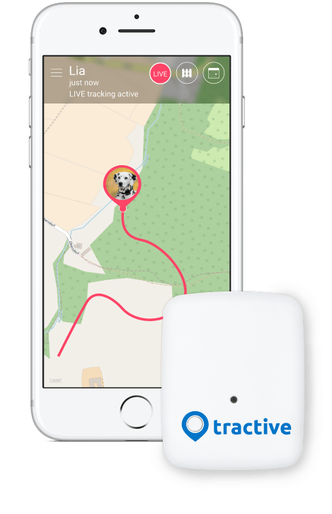 localizzatore per cani e gatti Tractive GPS