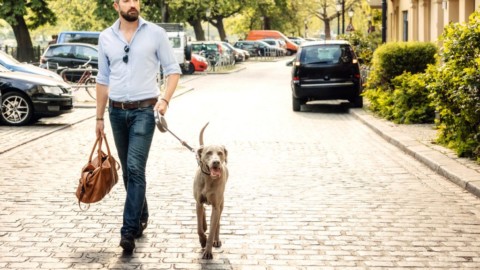 Amico peloso: la sua compagnia fa sentire meglio – Stile.it