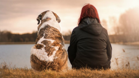 Preparatevi: è in arrivo un traduttore per parlare con cani e gatti – Galileo