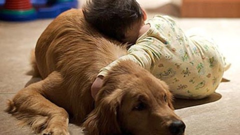 Cani e bambini. Ecco alcuni consigli utili per una serena convivenza … – Agenpress