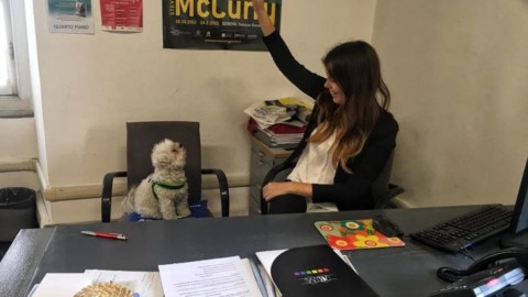 Cani in ufficio, una novità che divide il web – GenovaToday