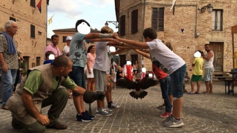 “Animali Fantastici”: la parola al naturalista. Polini: “il falconiere non è il mostro che sevizia un animale, ma un … – Informazione.Tv