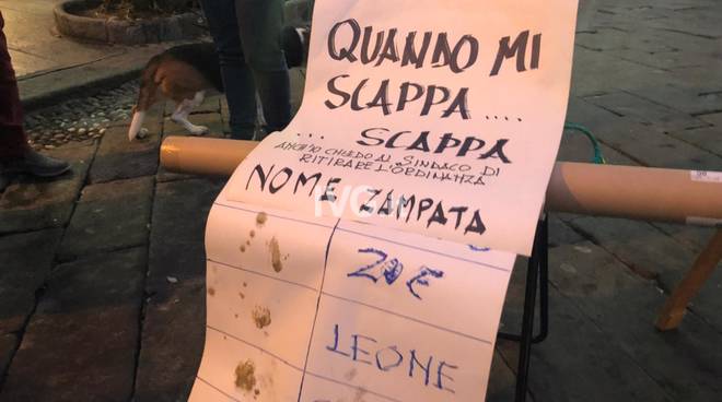 “Io non l'ho chiesta, cane sei il benvenuto”: ecco la campagna di … – Il Vostro Giornale