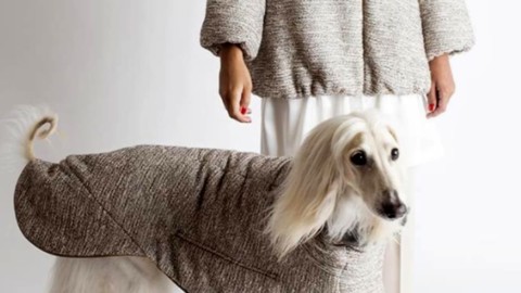 Milano: ha aperto la prima boutique per donne ei loro cani – MilanoToday