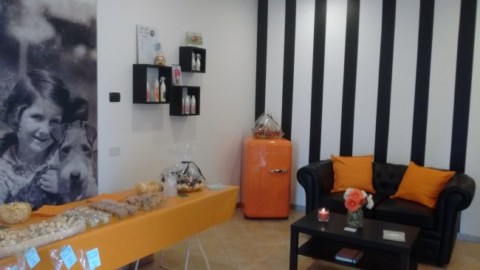 Toelettatura per cani a Burago, nuova apertura in città – Giornale di Monza