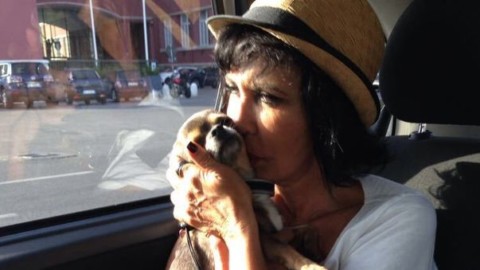 “Un colpo di fulmine a 4 zampe” per adottare cani e gatti nel giorno … – Il Messaggero