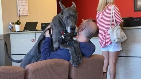 Porti il cane dal veterinario? Ecco la sua reazione (esilarante) – Corriere della Sera