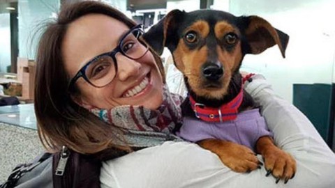 Olimpiadi invernali, l'atleta vegana che salva i cani destinati ai … – Corriere della Sera