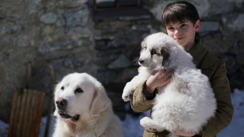 Belle & Sebastien al terzo film: protagonisti un cane da montagna … – Il Sole 24 Ore