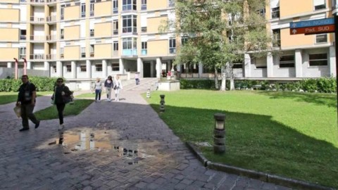 Cani, gatti e conigli negli ospedali – La Provincia di Lecco
