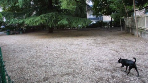 Difesa animali è contraria – l'Adige – Quotidiano indipendente del Trentino Alto Adige