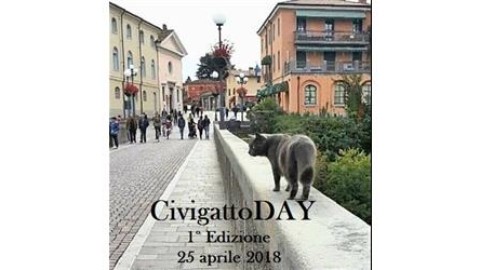 A Cividale il 'festival' dei gatti – Il Friuli