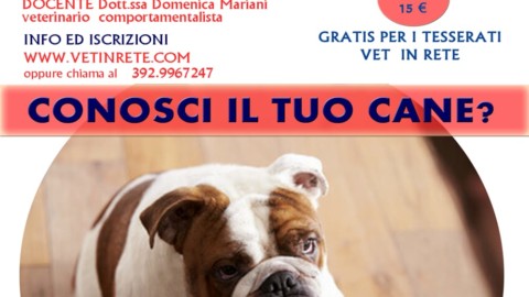 “Conosci il tuo cane?”: a Bari un corso per comprendere meglio i … – BariToday