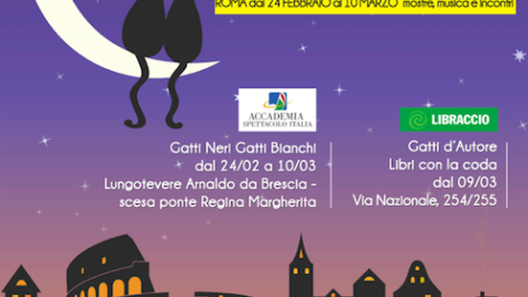 Roma città dei gatti – RomaToday