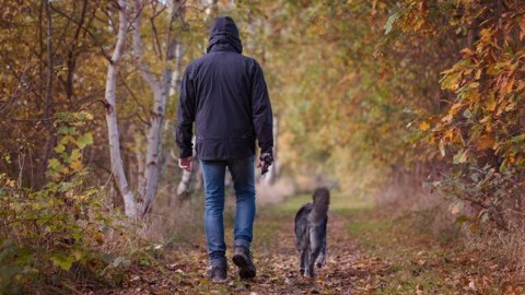 Se sei ansioso rischi di più di essere morso da un cane: rilassati – Scienze Fanpage