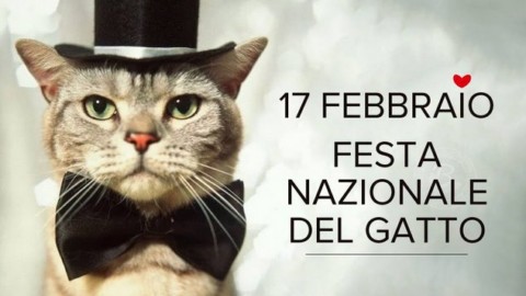 Arriva la Città dei Gatti. Dal 17 febbraio al 31 marzo Milano e Roma … – FortementeIn