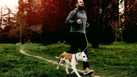 Assicurare il proprio animale domestico: vantaggi e costi – TorinoToday