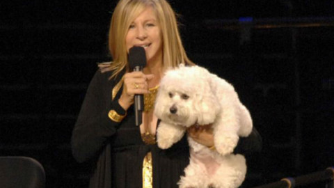 Barbra Streisand e la controversa clonazione del suo cane – National Geographic Italia