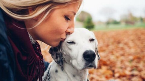 Sorpresa: i cani obbediscono di più alle donne – 105.net