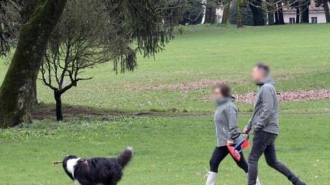Cani senza guinzaglio nel Parco di Monza: «Intervenga la polizia» – Corriere della Sera
