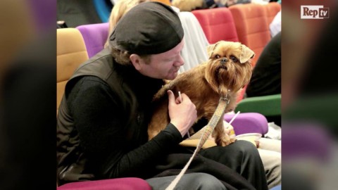Irlanda, al cinema con il cane: l'iniziativa è un successo – La Repubblica