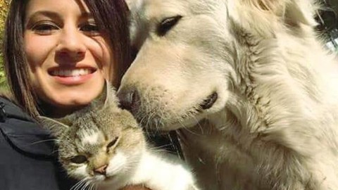 Trento, 80 mila firme per liberare Miro, il cane che «abbaiava troppo» – Corriere della Sera