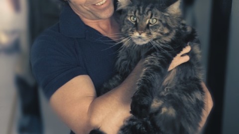 Sei tu il miglior amico del tuo gatto? – tio.ch