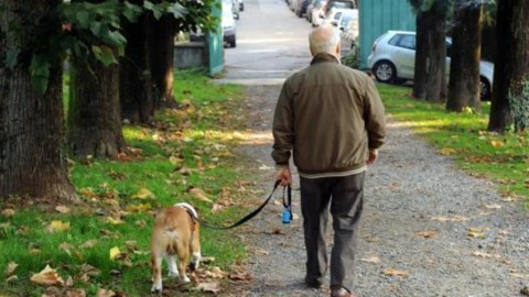 Cani e gatti – IlPiacenza