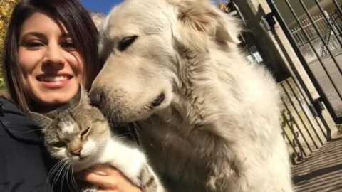 Trentino: in 90mila chiedono di dissequestrare Miro, il cane che … – Il Sole 24 Ore