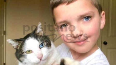 Il bimbo bullizzato per il suo aspetto che trova conforto nel gatto che … – Positanonews