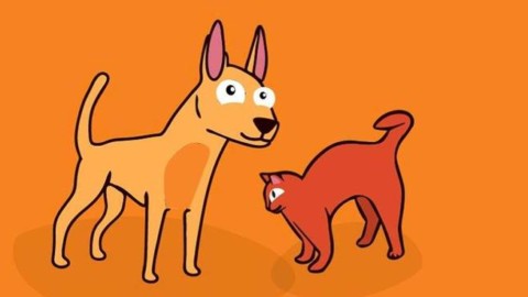 Lav in piazza contro le tasse su cani e gatti domestici: “Non sono un … – Positanonews