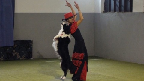 Garda Winner: il paradiso degli amanti dei cani – Qui Brescia