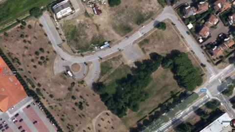 Lignano, trovato un cane privo di testa e zampe – Messaggero Veneto