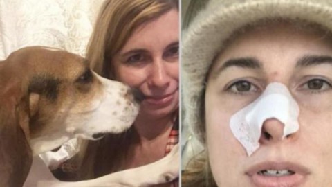 Cane annusa il naso della padrona, scopre il cancro e salva la … – Blasting News