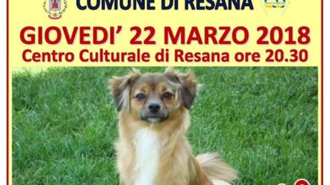 “Il mio amico cane”: a Resana una serata dedicata a chi ama gli … – TrevisoToday