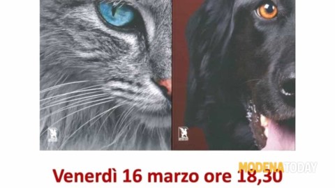 “L'identità del cane” e “L'identità del gatto”, Roberto Marchesini alla … – ModenaToday