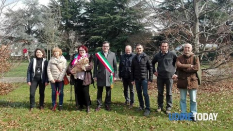 Sgambatura cani, aperta la nuova area in via del Bon – Udine Today