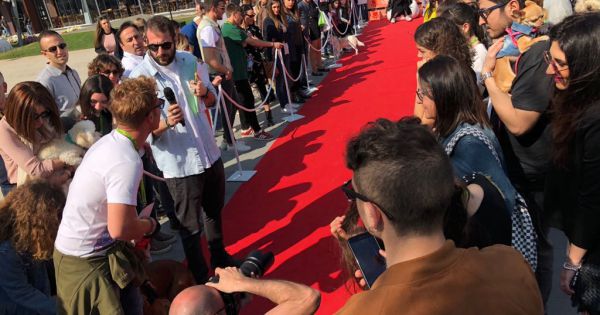 A Molfetta «I Love my Dog» la festa dei cani conquista tutti – La Gazzetta del Mezzogiorno