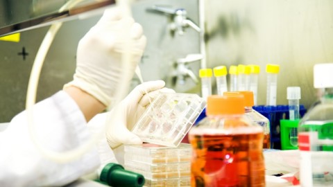 Modelli di ricerca alternativi: l'Universit&agrave; di Bologna parla al futuro