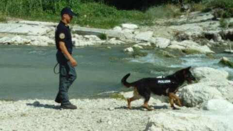 Ancona, ecco Savana, il cane poliziotto che ritrova le persone … – Il Resto del Carlino