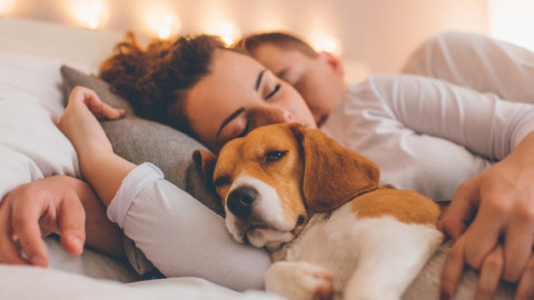 Micio e fido sono invecchiati: uno su due dorme nel lettone – Il Messaggero