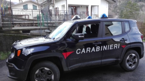 Chiama i carabinieri nel timore che la vicina fosse stata sbranata dai … – La Voce Apuana
