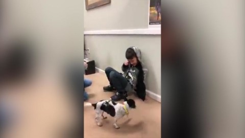 Il cane ritrova la sua famiglia dopo l'uragano ed è subito grande festa – La Stampa