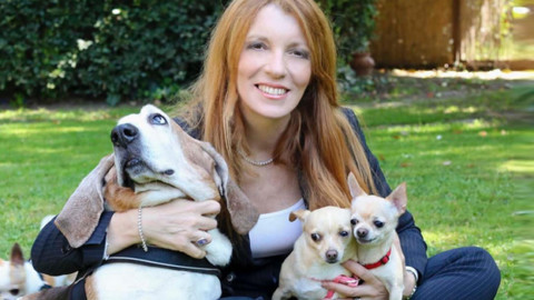 Brambilla (Forza Italia): “Ottima iniziativa il conto per animali della Banca di Piacenza” – Piacenza24