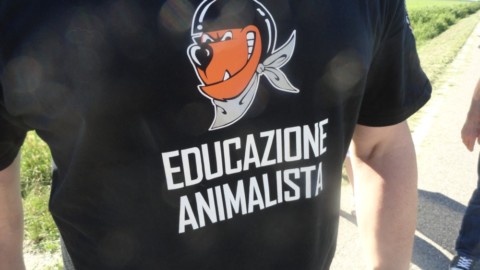 Funerali per cani e gatti anche in Veneto: «ma sono ancora … – Vvox