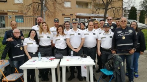 Lazio, Anagni: oltre 250 cani microchippati dall'Accademia Kronos – Meteo Web