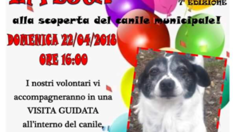 Agenda animale, gli appuntamenti del weekend del 21-22 aprile 2018 – Il Sole 24 Ore