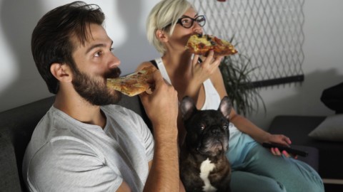 Netflix: gli animali domestici sono i partner ideali per guardare le … – RADIO DEEJAY