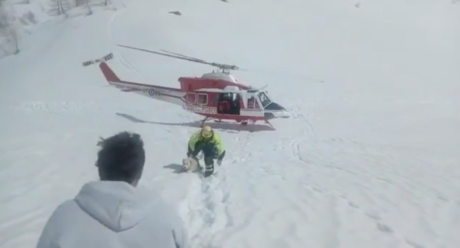 La storia di due cani salvati dalla neve dopo 5 e 26 giorni – Montagna.tv