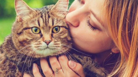 5 trucchi per farti amare dal tuo gatto – alfemminile.com